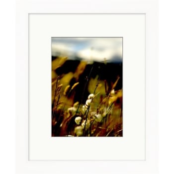 Image for Clearwater Art Collection Spring Flowers, Warm Scheme, White Frame from HD Supply