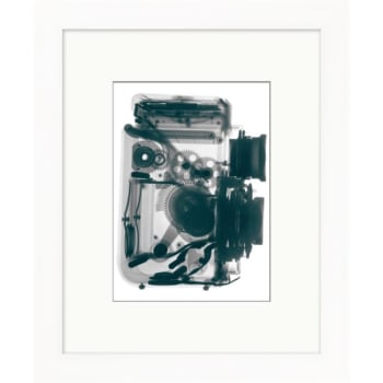 Image for Clearwater Art Collection Xray, Trendy Scheme, White Frame from HD Supply