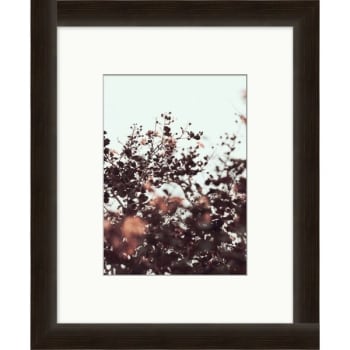 Image for Clearwater Art Collection Fall Flowers, Cool Scheme, Espresso Frame from HD Supply