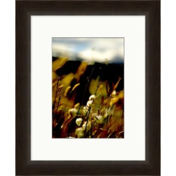Image for Clearwater Art Collection Spring Flowers, Warm Scheme, Espresso Frame from HD Supply