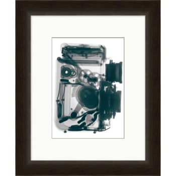 Image for Clearwater Art Collection Xray, Trendy Scheme, Espresso Frame from HD Supply