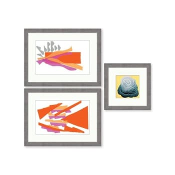 Image for Clearwater Art Collection In A Box,queen,trendy Scheme,silver Frame,pack Of 3 from HD Supply