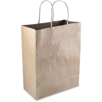 Image for Cosco Premium Large Brown Paper Shopping Bags (50-Pack) from HD Supply