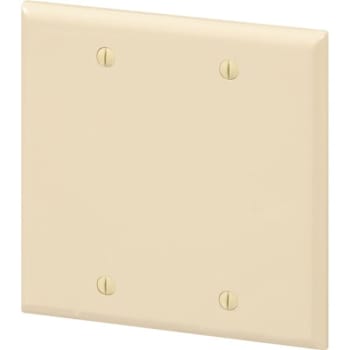 Maintenance Warehouse® 2-Gang Polycarbonate Blank Wall Plate (10-Pack) (Ivory)