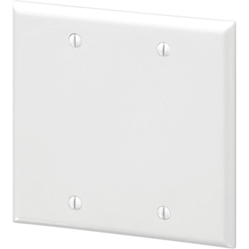 Maintenance Warehouse® 2-Gang Polycarbonate Blank Wall Plate (10-Pack) (White)