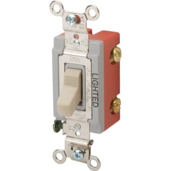 Image for Hubbell-Pro Illuminated 20 Amp 120/277 Vac 2-Position Toggle Switch from HD Supply