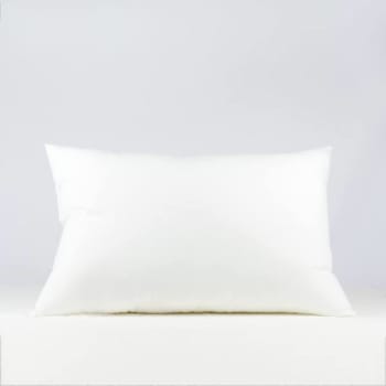 Cotton Bay Essential Queen Pillow 20 In. X 30 In. 27 Oz. Case Of 10