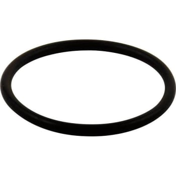 Delta O-Ring Large All Monitor® Series Rp23336