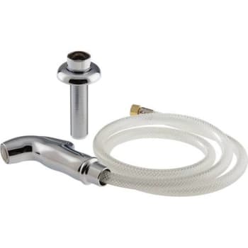 Delta Side Spray And Hose Assembly Model Rp44125