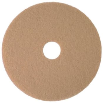Image for Renown 20"tan Burnishing Flor Pad from HD Supply