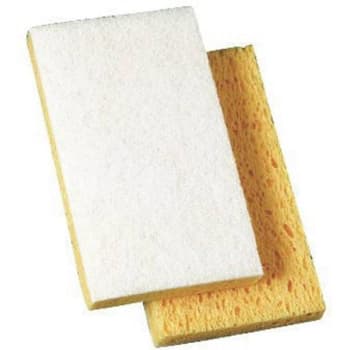 Image for Renown Light-Duty Scrub Sponge Package Of 20 from HD Supply
