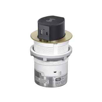 Image for Hubbell Wiring® 15 Amp 125 Volt Countertop Outlet Wireless Charging Brass from HD Supply
