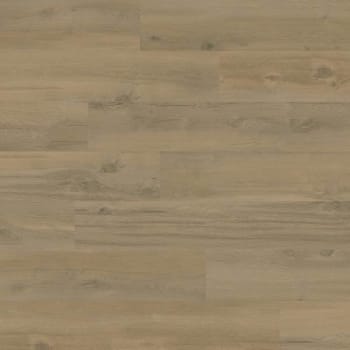 Image for Lifeproof Stella Oak 8.7"x59" Vinyl Plank, Case Of 7 from HD Supply