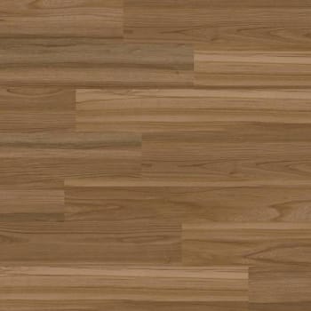 Image for Lifeproof Clermont Elm 8.7"X48" Vinyl Plank, Case Of 7 from HD Supply