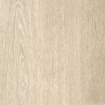 Image for Verge PRO Arbor Wood Taupe 7"x48" Glue Down Vinyl Plank, Case Of 18 from HD Supply