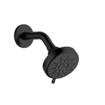 Seasons® 5 Function 1.8 GPM 4 In. Round Showerhead In Matte Black With Shower Arm & Flange