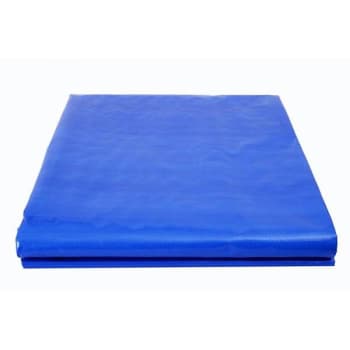 Maintenance Warehouse 10' X 12' Blue General Purpose Tarp