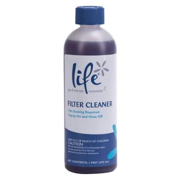 Image for Life 1 Lb. Filter Cleaner With Sprayer - Spa from HD Supply