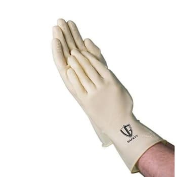 Vanguard Safety Trad Canner Glove Poultry/Seafood Food Process/Clean Case Of 288