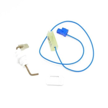 Image for Rheem Electrode Fl2 from HD Supply