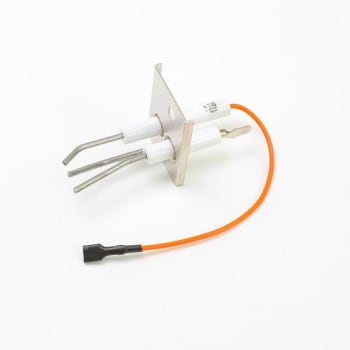 Image for Reznor Ignitor/Flame Sensor 112046 from HD Supply