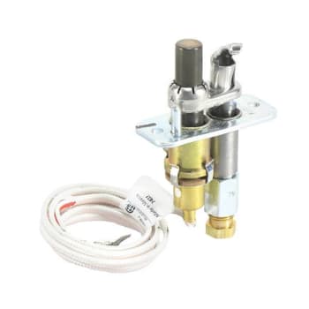 Image for Williams LP Pilot Assemblyp322399 from HD Supply