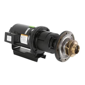 Laars 1/3hp Pump Motor Assemblyra2117201