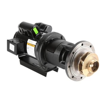 Laars 1/2hp 115v Pump Motor Assemblyra2117202