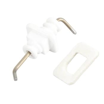 Image for Rheem Electrode Igrtg20212bd from HD Supply