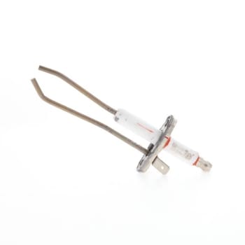 Image for Raypak Ignitor 013167f from HD Supply