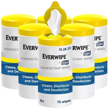 Image for EVERWIPE By Tork Disinfectant Wipe Canisters, 1-Ply, White, 75 Sheets Per Canister, Case Of 6 from HD Supply