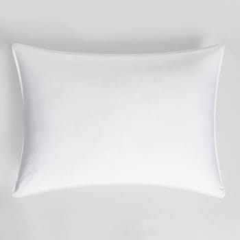 Image for Down Lite Enviroloft™ Hypoallergenic Premium Down Alternative Med Firm Support from HD Supply