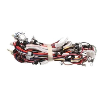 Image for Ge Harness Main Dryer Nv Elec 24- Model Hotwe08x29055 from HD Supply