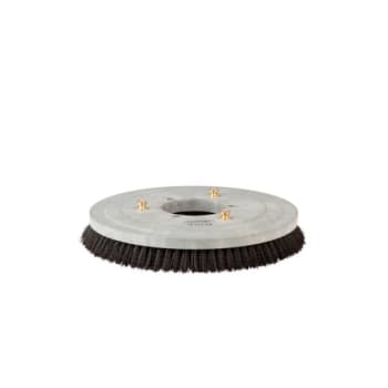 Image for Tennant Company 17" Disl Polypropylene Brush For T2 And T300e from HD Supply