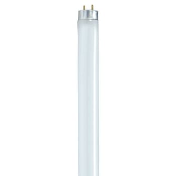 Image for SATCO 32 Watt T8 Linear Fluorescent Bulb, Medium Bi Pin, 5000k, Pallet Of 1200 from HD Supply