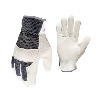 Image for Awp® Suede Leather Palm With Mesh Back Work Gloves - Large from HD Supply