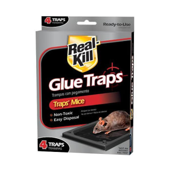 Real-Kill Glue Trap Mouse Case Of 12