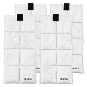 Ergodyne 6250 Clear Lightweight Phase Change Cooling Packs
