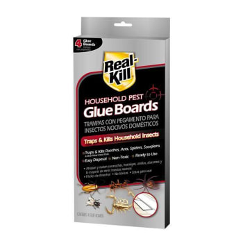 Real Kill Home Insect Glue Trap 6 Count , Case Of 6