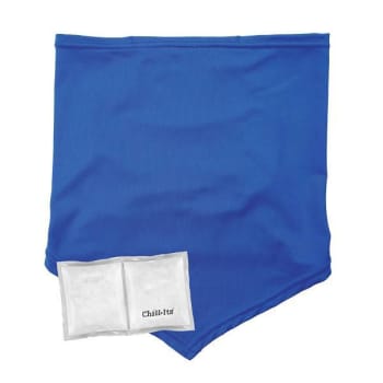 Image for Ergodyne 6482 L/XL Blue Cooling Neck Gaiter Bandana Pocket Kit from HD Supply