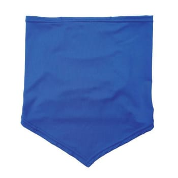 Image for Ergodyne 6483 L/XL Blue Cooling Neck Gaiter Bandana Pocket from HD Supply