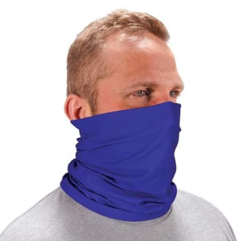 Image for Ergodyne 6485 Blue Multi-Band from HD Supply