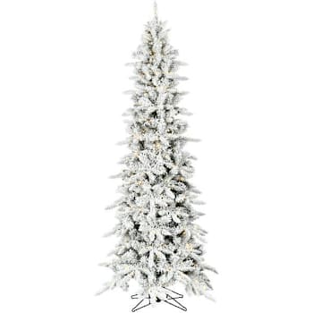 Image for Fraser Hill Farm 9' Slim Mountain Pine Flocked Christmas Tree With LED Lights from HD Supply