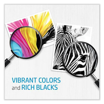 Image for HP 72 Photo Black Original Ink Cartridge from HD Supply