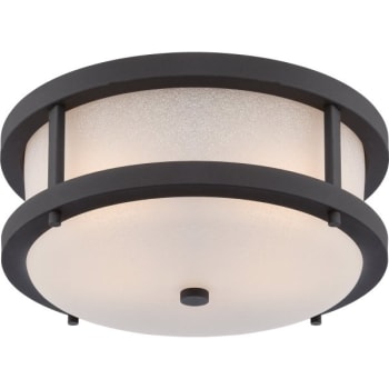 Satco® 13.75 in. 2-Light Outdoor Ceiling Light (Textured Black/Antique White)
