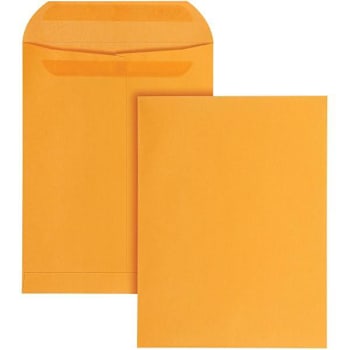 Image for Quality Park Catalog Envelope 9.5"X12.5" Self-Sealing Kraft Package Of 250 from HD Supply
