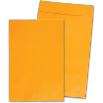 Image for Quality Park Catalog Envelope 12.5"X18.5" Ungummed Kraft Package Of 25 from HD Supply