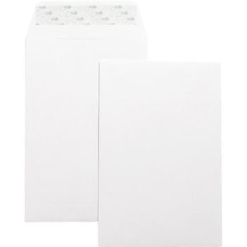 Business Source Catalog Envelope 6"X9" Peel & Seal White Package Of 100