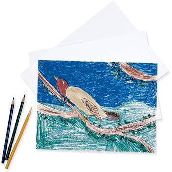 Pacon Drawing Paper 9"X12" Heavyweight White Package Of 500