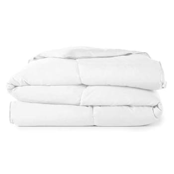 Essential Microfiber Permaloft Filled Blanket For Sonesta, Queen, 4/Cs